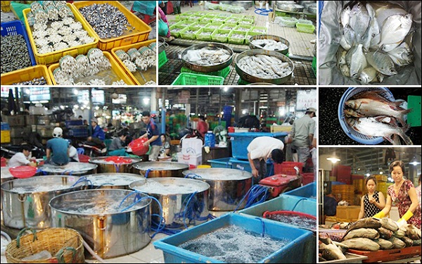 bán hải sản tươi sống tại tphcm