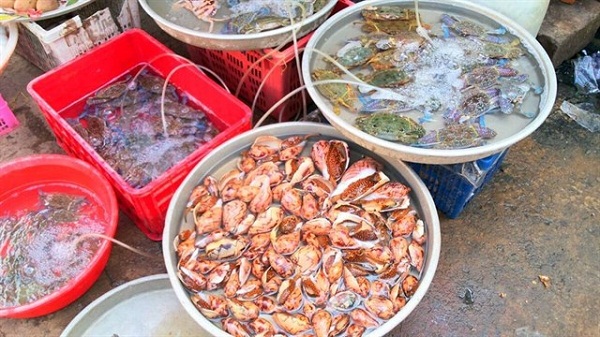 giá hải sản tươi sống tại tphcm